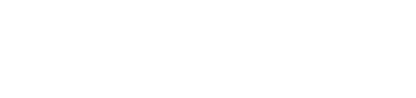 endovascular-engineering-logo